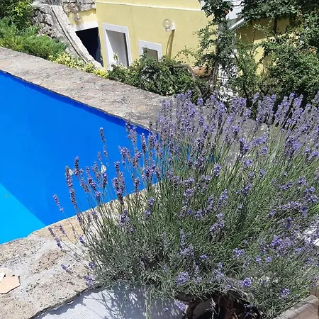 Vica Apartman Gasthof