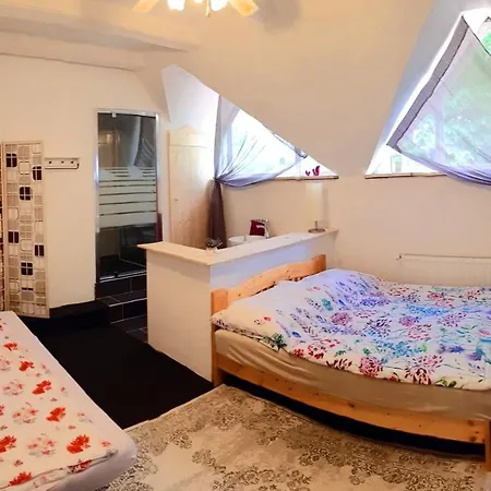 Vica Apartman Gasthof